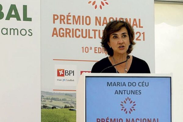 A grande resiliência do setor agrícola