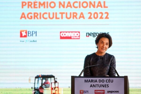 Maria do Céu Antunes: “Os nossos agricultores estão a perder rendimento”